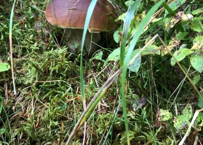 Rifugio De Doo Lodge